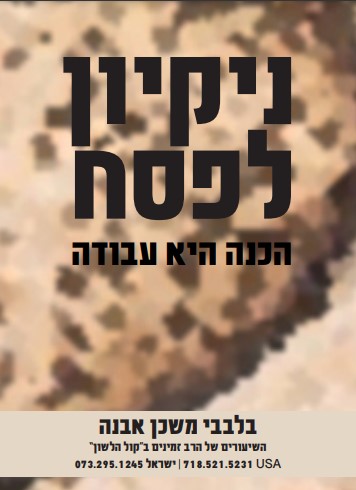 ניקיון פסח