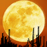 טבת מזל גדי