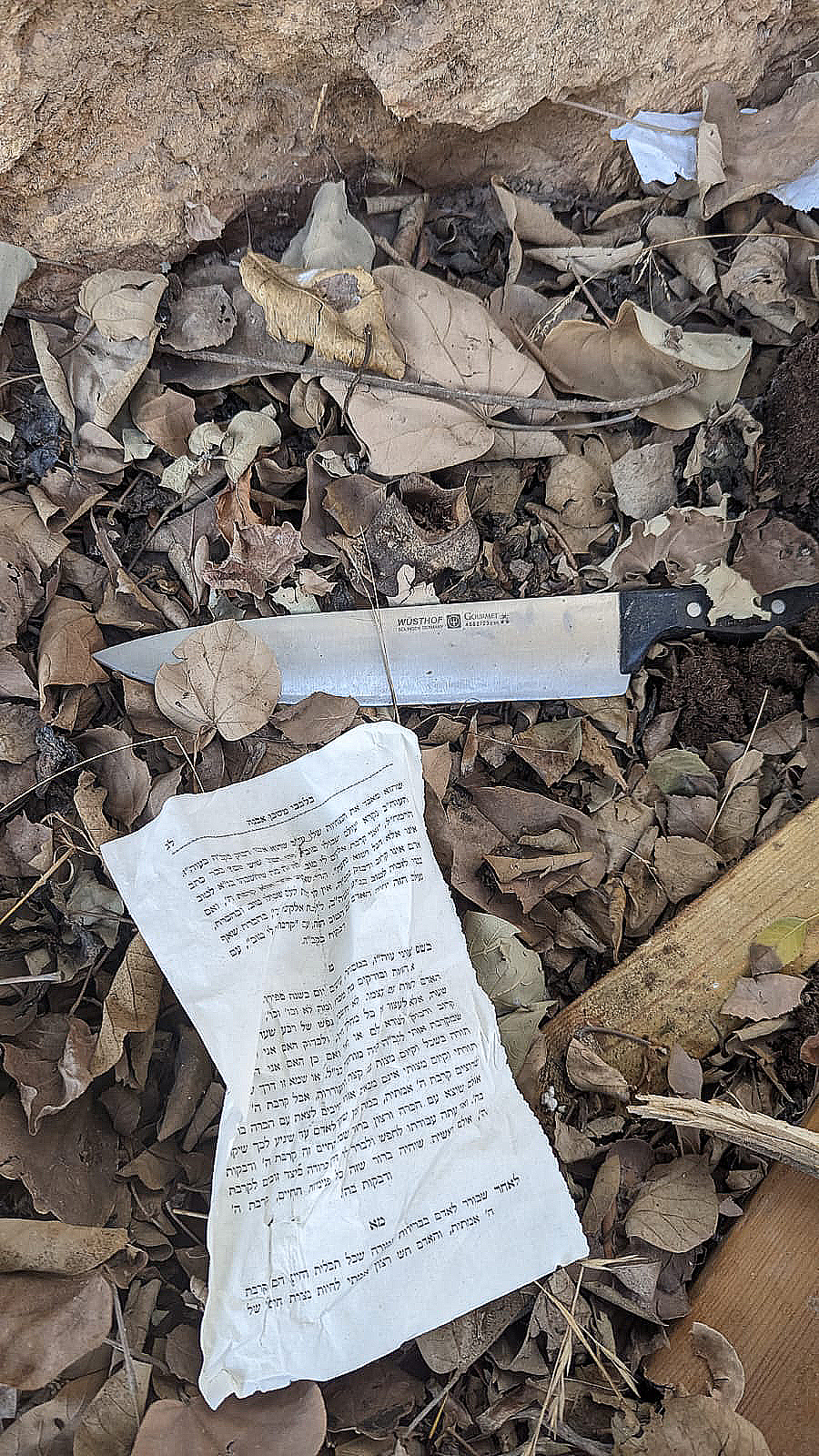 בלבבי באירי